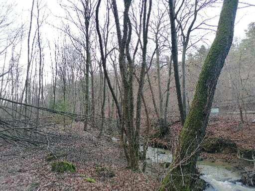 Lippolds Stube Διαμέρισμα Brunkensen Εξωτερικό φωτογραφία